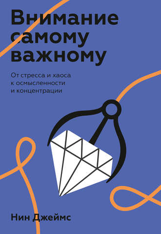 43665102-nin-dzheyms-vnimanie-samomu-vazhnomu